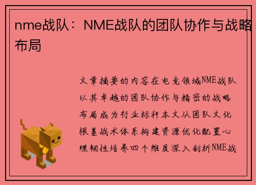 nme战队：NME战队的团队协作与战略布局